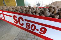 Колесо B93.05757 опорное для транспортеров SC 80-7/SC 80-9/SC 80-12 Grimme